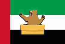 Tunnelbear not working in the UAE? This is how I FIXED it! (2025) Tunnelbear not working in the UAE 1