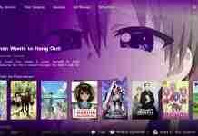 Funimation not working with VPN 2