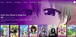 Funimation not working with VPN 2