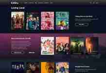 DStv not working with VPN? Try these EASY fixes! (2025) DStv not working with VPN