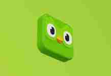 Duolingo scraped data leaks 2.6 million users’ data – how to protect yourself Duolingo data leak