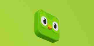 Duolingo data leak