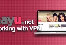 FIX: Hayu not working with VPN (2025) Hayu not working with VPN