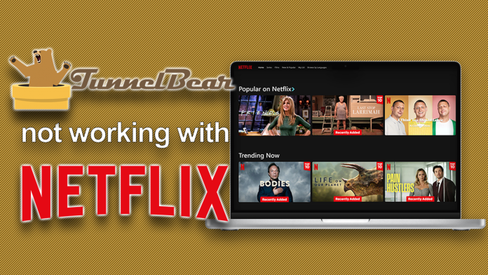 Tunnelbear not working with Netflix