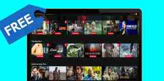 Will a free VPN work with Netflix